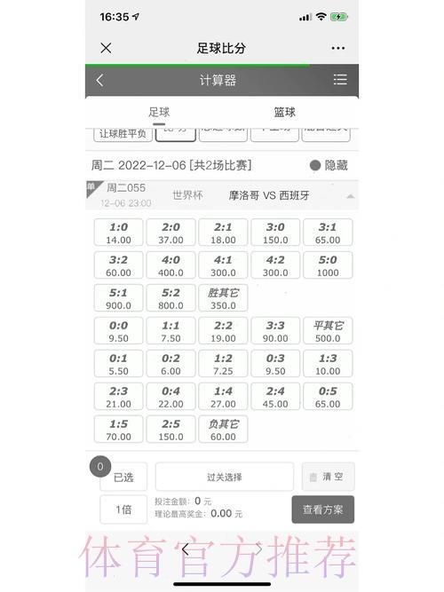 世界杯竞猜工具推荐：精准计算赔率的必备利器